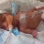 Little one of Selvarubi